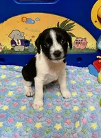 processed/cb5ef297-14f1-4b05-b0ff-3306a915af1e/listing/711ca52d-eff8-4342-99b9-7fe54d41e181/232f5975-87e1-4ccb-9d6c-96cca2d92098