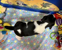 processed/cb5ef297-14f1-4b05-b0ff-3306a915af1e/listing/711ca52d-eff8-4342-99b9-7fe54d41e181/503375b9-cf59-4c2e-b75a-65e46da02249