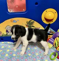 processed/cb5ef297-14f1-4b05-b0ff-3306a915af1e/listing/711ca52d-eff8-4342-99b9-7fe54d41e181/cd5cd0fe-b74b-459f-926b-e19c947d08af