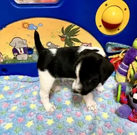 processed/cb5ef297-14f1-4b05-b0ff-3306a915af1e/listing/711ca52d-eff8-4342-99b9-7fe54d41e181/dc82f0a9-03f9-4917-a97d-760add3559ae