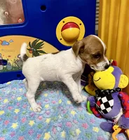 processed/cb5ef297-14f1-4b05-b0ff-3306a915af1e/listing/77d1c470-e4b6-4e6f-b51d-22291eb17328/1313a73f-6ecf-41e5-8fe1-6b7542dda335