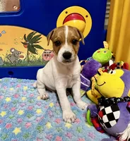 processed/cb5ef297-14f1-4b05-b0ff-3306a915af1e/listing/77d1c470-e4b6-4e6f-b51d-22291eb17328/6472407b-d45e-4446-b987-98ab84ef6f69