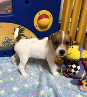 processed/cb5ef297-14f1-4b05-b0ff-3306a915af1e/listing/77d1c470-e4b6-4e6f-b51d-22291eb17328/ce430a83-f2ef-4bc6-9e40-8ae5a01171ba