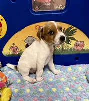 processed/cb5ef297-14f1-4b05-b0ff-3306a915af1e/listing/77d1c470-e4b6-4e6f-b51d-22291eb17328/cedb60d5-c528-45ea-8363-7d77bb7e39b7