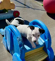 processed/cb5ef297-14f1-4b05-b0ff-3306a915af1e/listing/aeccaaa6-0750-485a-8521-198fca604c77/033c5127-f8c6-4d64-b937-c169aeb64aa9