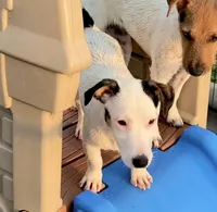 processed/cb5ef297-14f1-4b05-b0ff-3306a915af1e/listing/aeccaaa6-0750-485a-8521-198fca604c77/145c1e33-14de-46bd-bc1e-f1a981ac8bbc