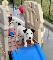 processed/cb5ef297-14f1-4b05-b0ff-3306a915af1e/listing/aeccaaa6-0750-485a-8521-198fca604c77/18efff3e-3400-4e66-bf96-57c51d41a543