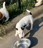 processed/cb5ef297-14f1-4b05-b0ff-3306a915af1e/listing/aeccaaa6-0750-485a-8521-198fca604c77/86b6d77e-efac-4391-af36-ff0647a1b3fa