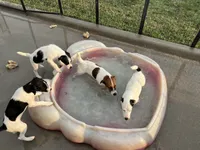 processed/cb5ef297-14f1-4b05-b0ff-3306a915af1e/listing/aeccaaa6-0750-485a-8521-198fca604c77/8e9c86a1-6386-43b7-a4b1-a37deb5ccaac