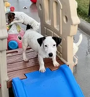 processed/cb5ef297-14f1-4b05-b0ff-3306a915af1e/listing/aeccaaa6-0750-485a-8521-198fca604c77/972b6f3b-d094-472d-b9ea-9d0f75e6d890