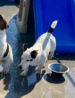 processed/cb5ef297-14f1-4b05-b0ff-3306a915af1e/listing/aeccaaa6-0750-485a-8521-198fca604c77/ad52a0f0-c542-4edd-b808-51dbfd6facdd