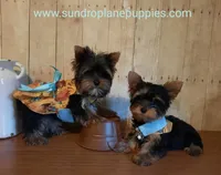 processed/cb67acb5-f738-47c5-8e7d-b79447f71eca/facility/9aa14424-2eee-4d05-ab20-5da6442a2805