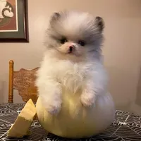 processed/cb67acb5-f738-47c5-8e7d-b79447f71eca/facility/c2fa30c8-8300-4e81-85bb-cf8d823fca6f