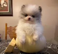 processed/cb67acb5-f738-47c5-8e7d-b79447f71eca/facility/c2fa30c8-8300-4e81-85bb-cf8d823fca6f