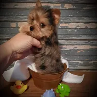 processed/cb67acb5-f738-47c5-8e7d-b79447f71eca/facility/ca1a21f3-8c90-4c2f-9441-f882a67a8f40