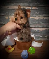 processed/cb67acb5-f738-47c5-8e7d-b79447f71eca/facility/ca1a21f3-8c90-4c2f-9441-f882a67a8f40