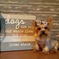 processed/cb67acb5-f738-47c5-8e7d-b79447f71eca/facility/cf472090-7f00-4df2-939d-6c4fd0be051b