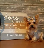 processed/cb67acb5-f738-47c5-8e7d-b79447f71eca/facility/cf472090-7f00-4df2-939d-6c4fd0be051b