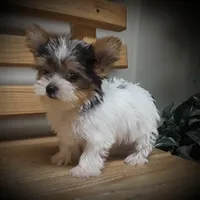 processed/cb67acb5-f738-47c5-8e7d-b79447f71eca/facility/d054d212-2bfc-421b-a819-62db8b1ea0ce