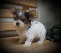 processed/cb67acb5-f738-47c5-8e7d-b79447f71eca/facility/d054d212-2bfc-421b-a819-62db8b1ea0ce