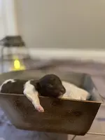 processed/cb7118ff-f540-4489-902f-77a416b91f29/listing/88199552-efd4-4448-ada2-07dd2d5b0fd7/11e8a77d-48c8-4a66-8f32-accca3cdc90e