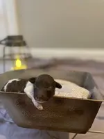 processed/cb7118ff-f540-4489-902f-77a416b91f29/listing/88199552-efd4-4448-ada2-07dd2d5b0fd7/19a569ba-90b5-47a0-9b4a-9e8da61b7b31