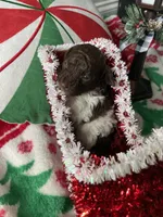 processed/cb7118ff-f540-4489-902f-77a416b91f29/listing/88199552-efd4-4448-ada2-07dd2d5b0fd7/51199cfb-c3d6-499d-b000-d704a96b9e32