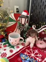 processed/cb7118ff-f540-4489-902f-77a416b91f29/listing/88199552-efd4-4448-ada2-07dd2d5b0fd7/61126975-79e8-4e44-9756-75f51092e589