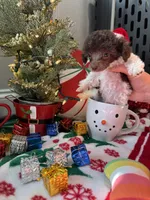 processed/cb7118ff-f540-4489-902f-77a416b91f29/listing/88199552-efd4-4448-ada2-07dd2d5b0fd7/8214e2c1-c5d9-4847-9249-01fa47bd730a