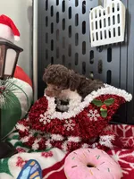 processed/cb7118ff-f540-4489-902f-77a416b91f29/listing/88199552-efd4-4448-ada2-07dd2d5b0fd7/9a0e8608-6f55-4c41-8bad-f25072f0f3df