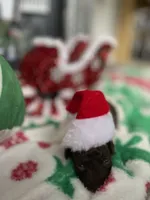 processed/cb7118ff-f540-4489-902f-77a416b91f29/listing/88199552-efd4-4448-ada2-07dd2d5b0fd7/b769ebcd-d8c2-49b0-937f-3e675c0a334f