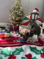 processed/cb7118ff-f540-4489-902f-77a416b91f29/listing/88199552-efd4-4448-ada2-07dd2d5b0fd7/d9814a81-bc64-4b46-a995-18fa8afcbc58