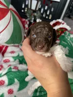 processed/cb7118ff-f540-4489-902f-77a416b91f29/listing/88199552-efd4-4448-ada2-07dd2d5b0fd7/eaa52749-956c-42ef-b78e-95152016ba43