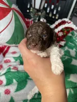 processed/cb7118ff-f540-4489-902f-77a416b91f29/listing/88199552-efd4-4448-ada2-07dd2d5b0fd7/f7670e44-7f41-4404-ac4c-412ee788a38d