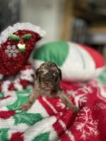 processed/cb7118ff-f540-4489-902f-77a416b91f29/listing/8ec2dbdf-8cfc-4f94-830d-78ddc96938b2/0d3d89bc-061a-4715-b390-4cd166b2503e