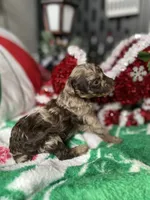 processed/cb7118ff-f540-4489-902f-77a416b91f29/listing/8ec2dbdf-8cfc-4f94-830d-78ddc96938b2/4f186a8c-8439-4bc6-866d-bc96983ab8c0