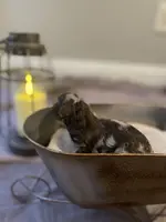 processed/cb7118ff-f540-4489-902f-77a416b91f29/listing/8ec2dbdf-8cfc-4f94-830d-78ddc96938b2/716b335f-ae4e-4c46-892e-29c4b63fb4fe