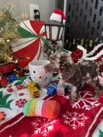 processed/cb7118ff-f540-4489-902f-77a416b91f29/listing/8ec2dbdf-8cfc-4f94-830d-78ddc96938b2/8997b300-bd88-4415-9f02-0380fcc11cba