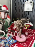 processed/cb7118ff-f540-4489-902f-77a416b91f29/listing/8ec2dbdf-8cfc-4f94-830d-78ddc96938b2/9e81f9fb-2be5-4446-b368-8bdbe8ab74e7