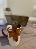 processed/cb7118ff-f540-4489-902f-77a416b91f29/listing/8ec2dbdf-8cfc-4f94-830d-78ddc96938b2/beb013b3-2ffd-4dfd-84d0-af42ff0e8eba