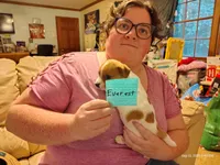 Everest, a male Jack Russell Terrier for sale in Siler City, NC – 4 of 6