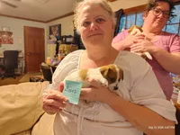 Zues, a male Jack Russell Terrier for sale in Siler City, NC – 1 of 4