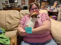 Goldie, a female Jack Russell Terrier for sale in Siler City, NC – 1 of 10