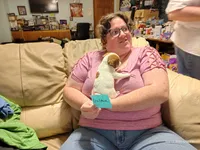 Goldie, a female Jack Russell Terrier for sale in Siler City, NC – 2 of 10