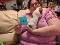 Goldie, a female Jack Russell Terrier for sale in Siler City, NC – 3 of 10