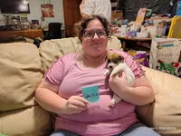 Sparkie, a male Jack Russell Terrier for sale in Siler City, NC – 2 of 8