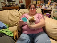 Ozzy, a male Jack Russell Terrier for sale in Siler City, NC – 6 of 7