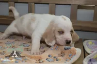 processed/cb8bd5fb-a62b-443f-8d33-b4817364ef2b/listing/1e8ec203-bc6a-4bf2-be07-b60c1a55d1ca/2385597f-cc99-4d87-b4ba-a9b7094fd7e5