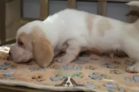 processed/cb8bd5fb-a62b-443f-8d33-b4817364ef2b/listing/1e8ec203-bc6a-4bf2-be07-b60c1a55d1ca/67070276-75f6-4373-b764-295d5a1b2c20