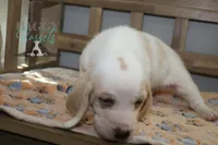 processed/cb8bd5fb-a62b-443f-8d33-b4817364ef2b/listing/1e8ec203-bc6a-4bf2-be07-b60c1a55d1ca/974a0176-78a2-47af-8154-37443d819840